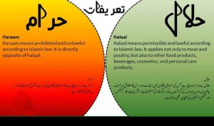 Halal And Haram Definition